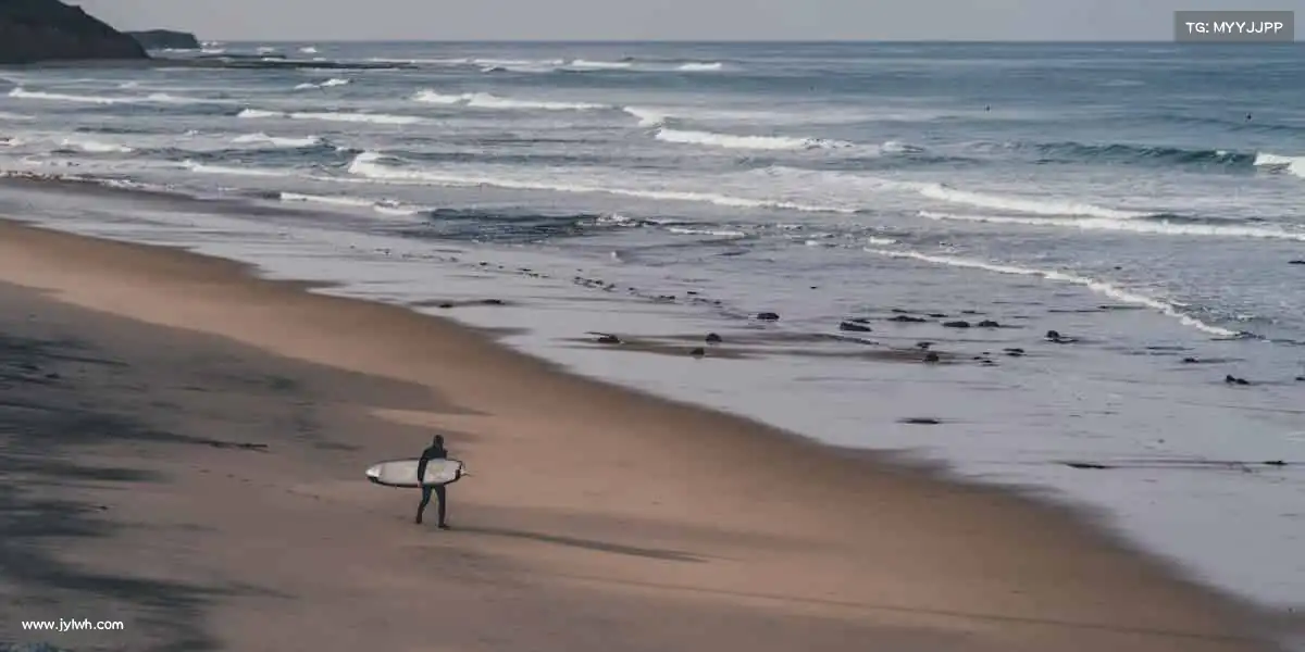 为什么选择我们